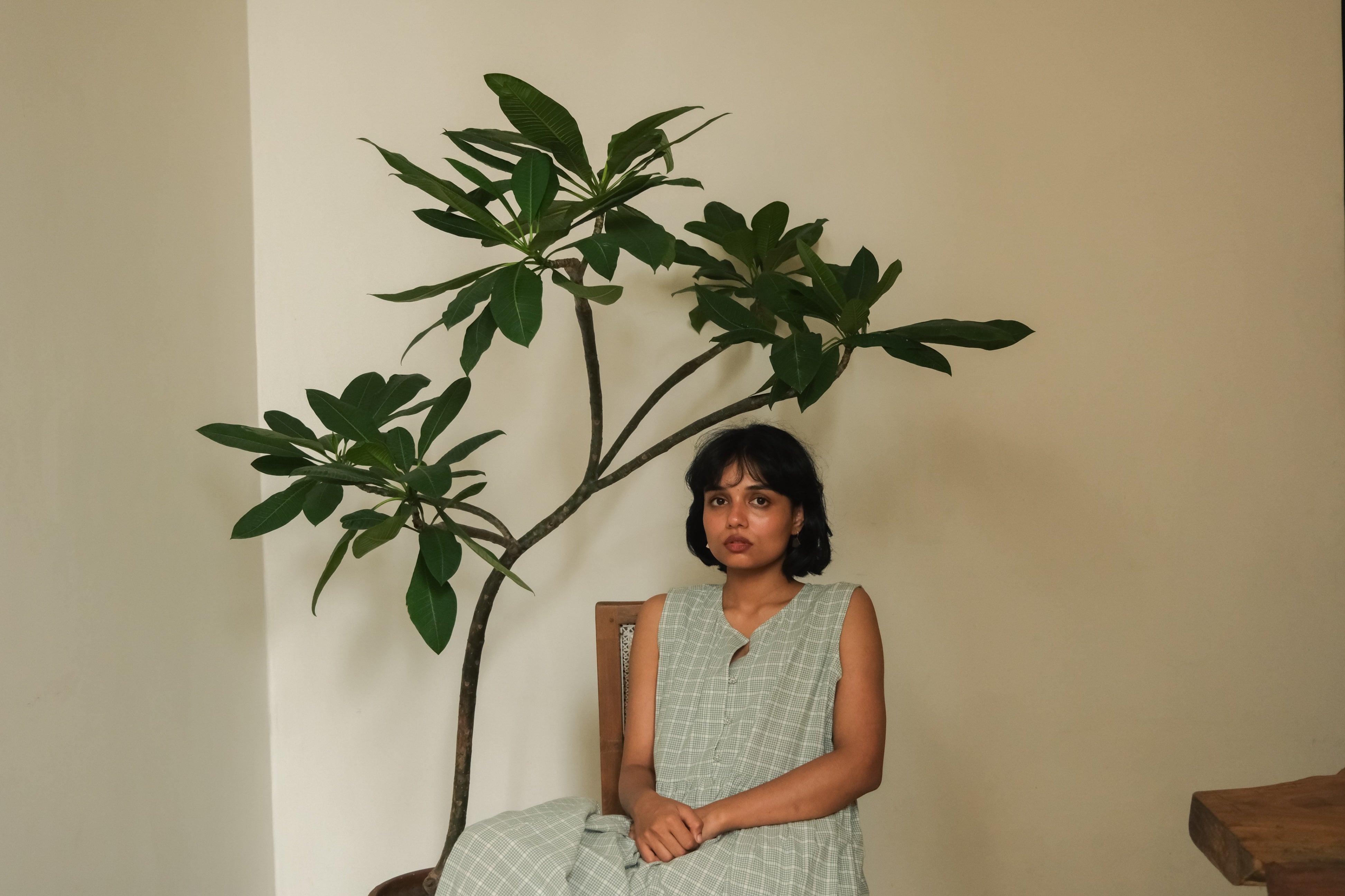 Woman wearing a green checkered dress against a white background